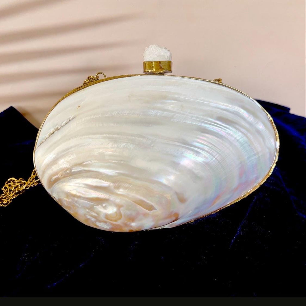 Natural Shell Minaudière Clutch — view 1
